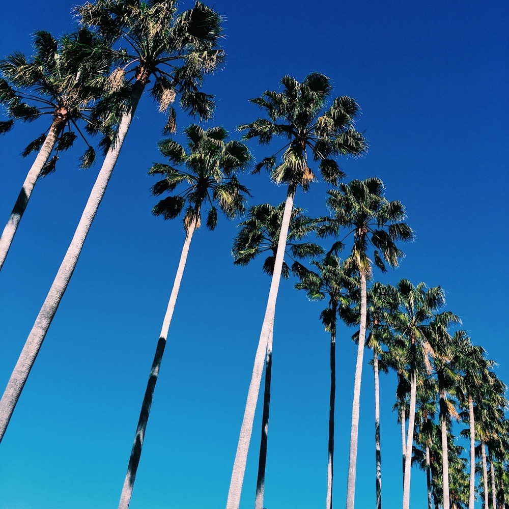 Meet your Posher, Samantha